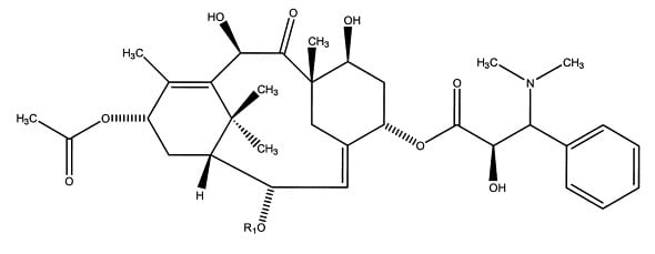 Fig 2A.jpg