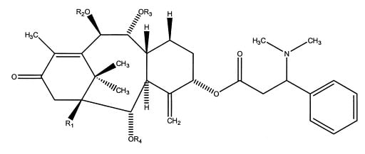 Fig 2B.jpg