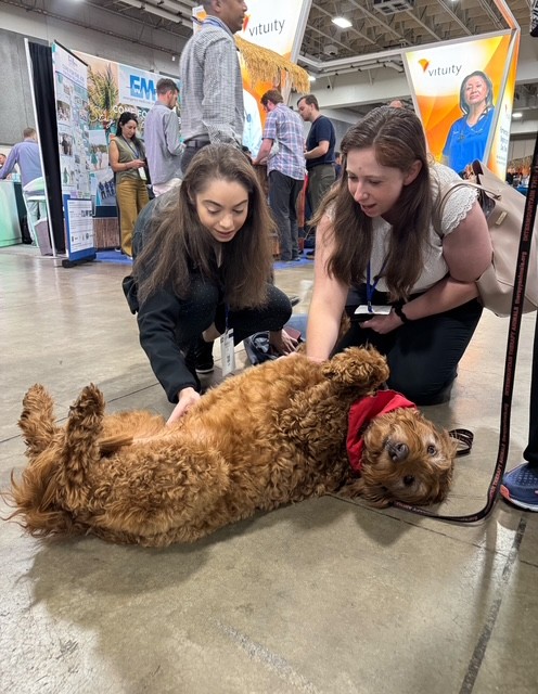 Dogs in Exhibit Hall