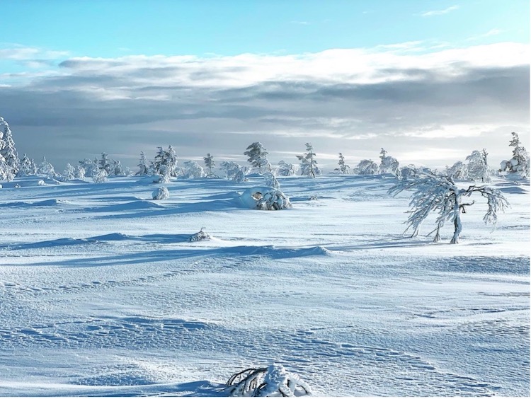 Lapland, Finland.jpg