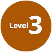 Level Three Icon - Bronze