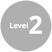 Level Two Icon - Silver
