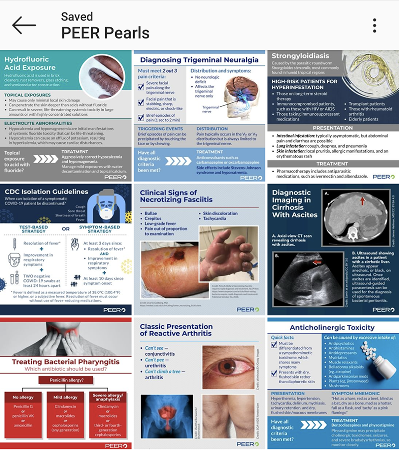 PEER Pearl Infographics