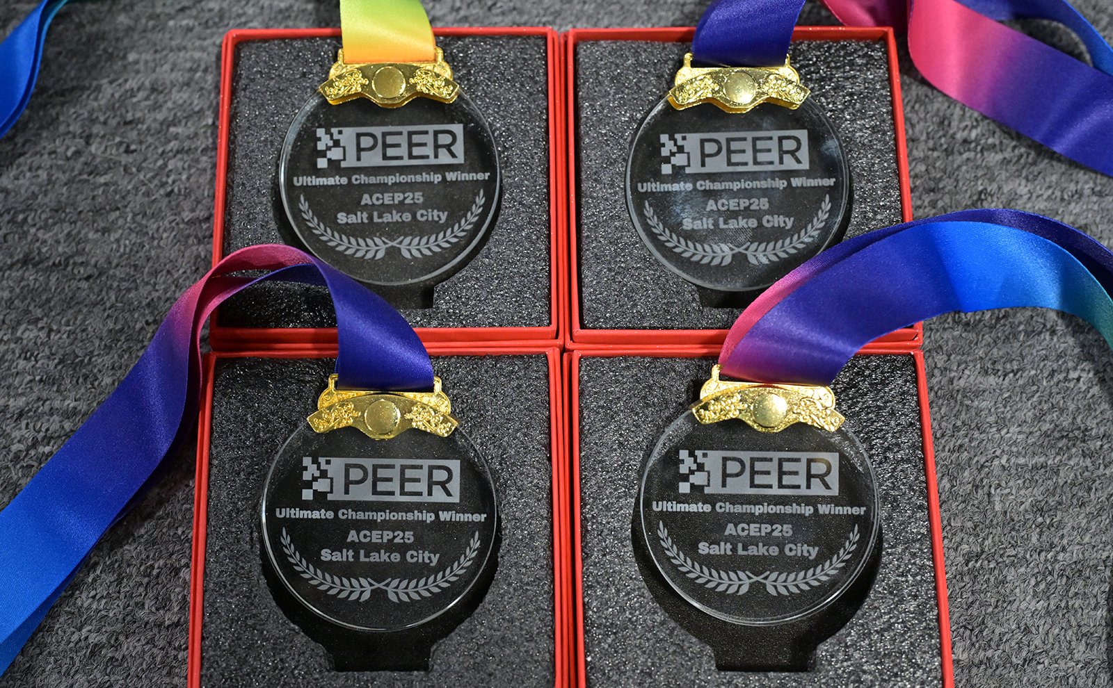 PEER_Challenge_Medals_ACEP25.jpg