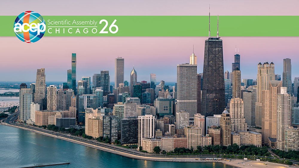 ACEP26 Zoom Background-Skyline.Small.jpg