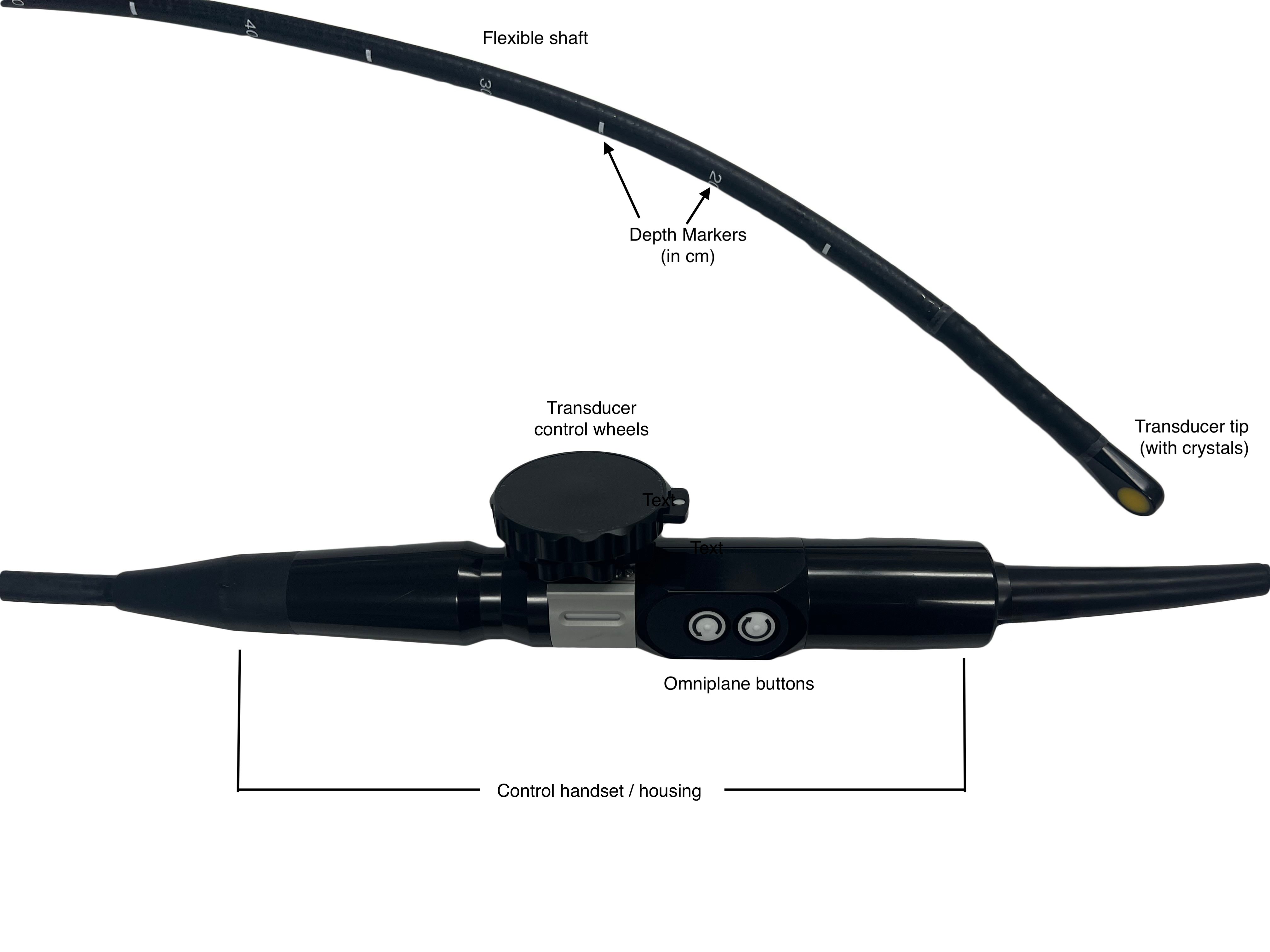 ACLS-Figure 2 - Labeled TEE.jpg