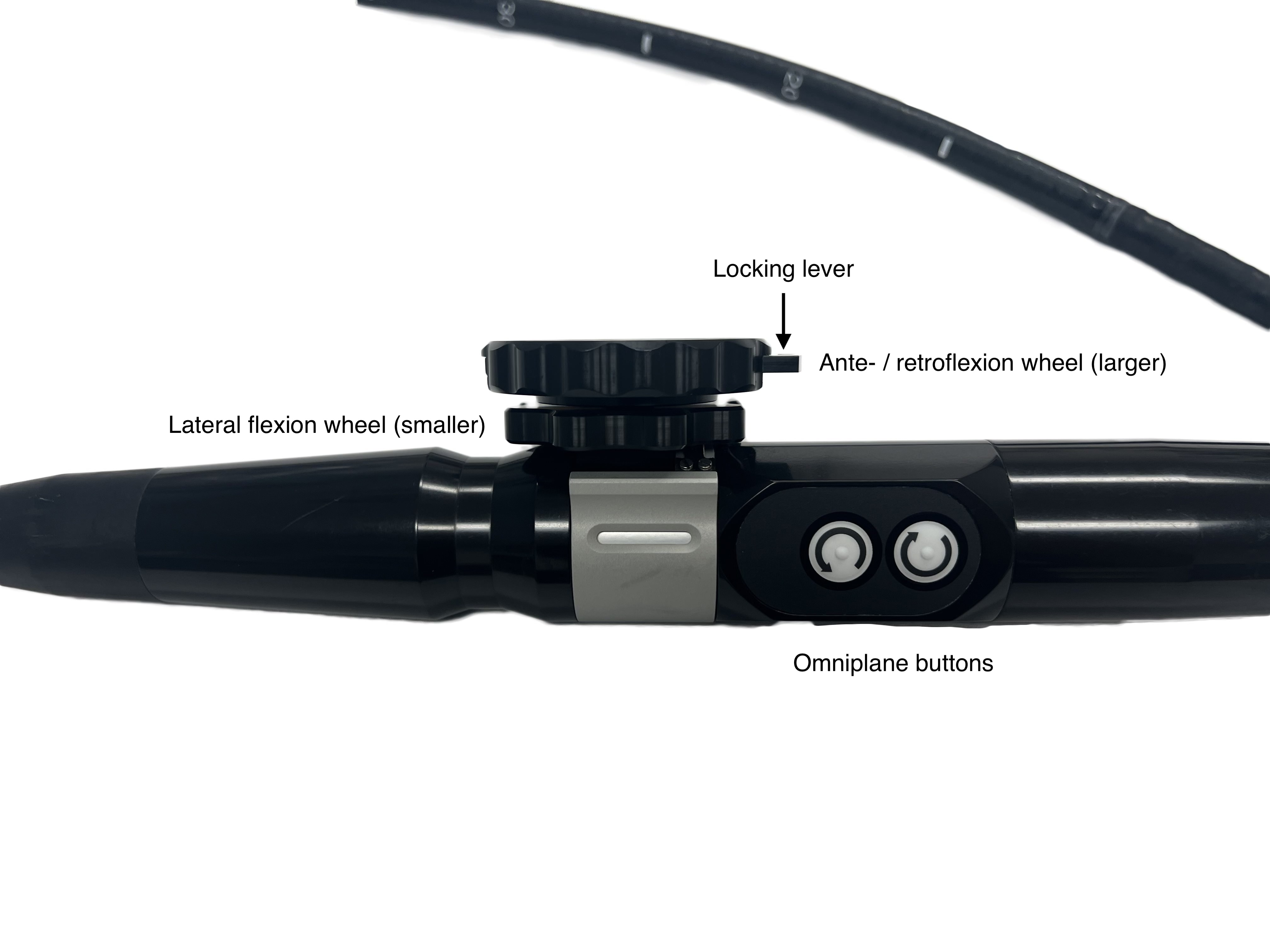 ACLS-Figure 3- TEE Controls labeled.jpg