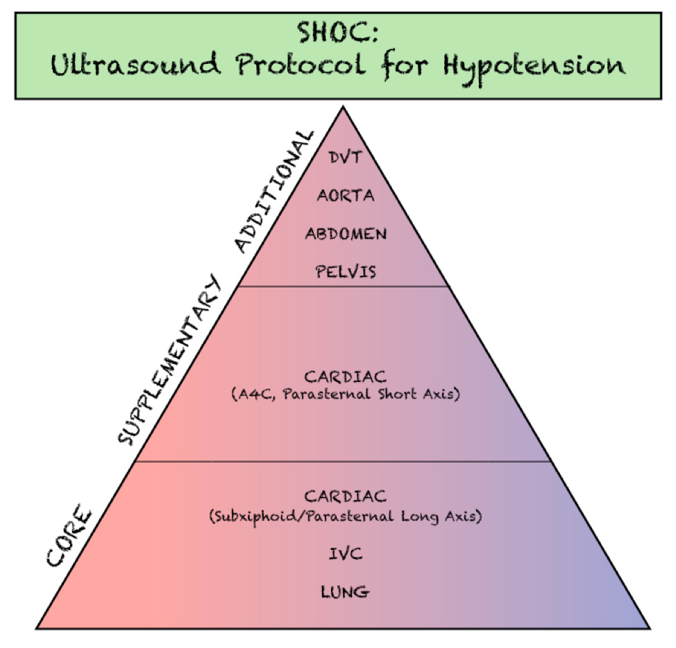 Figure 1- Components of the SHOC evaluation.jpg