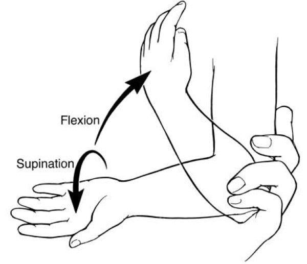 Fig 15. nursemaid flexion_supination.jpg