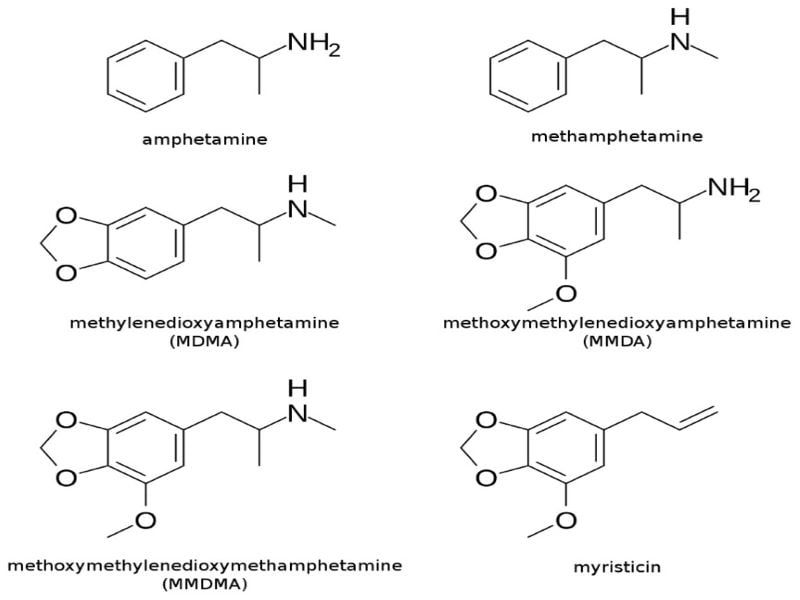 Nutmeg_Chemistry.jpg