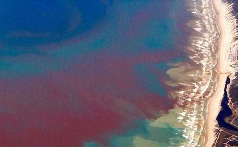 Red Tides: The Phenomenon That Will Take Your Breath Away