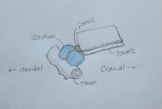 Torsion - Image 5.jpg