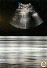 Transforming Img 2.gif
